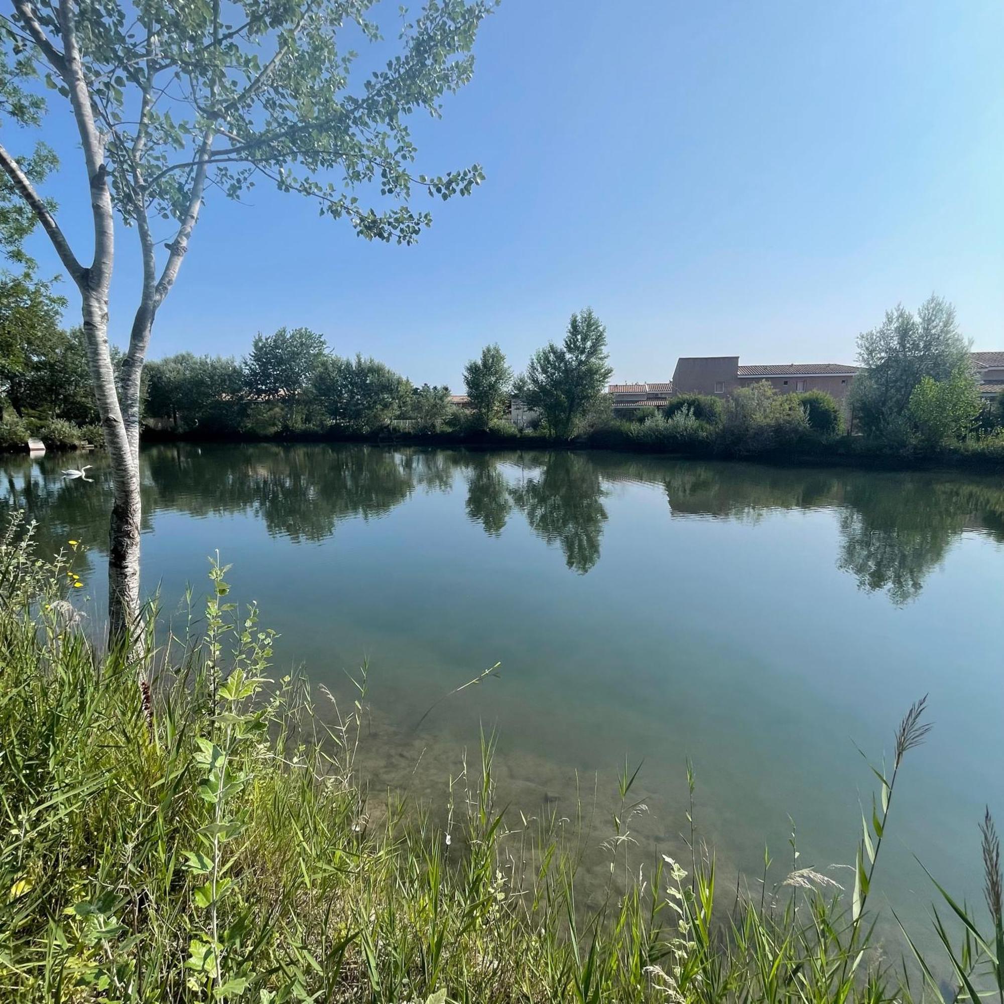 Maison Plain Pied Avec Climatisation Dans Une Residence Privee Avec Piscine Saint-Saturnin-lès-Avignon Kültér fotó